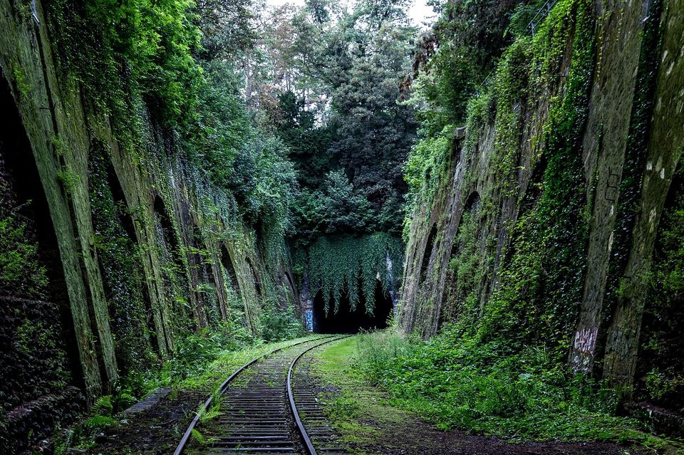 A picturesque railway cutting